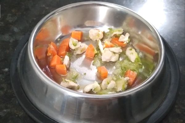 Receita de Sopa Para Shih Tzu | Comida Natural Para Cachorro